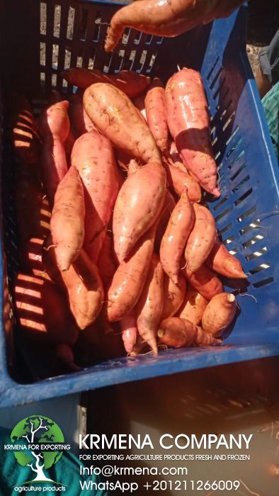 sweetpotatoes
