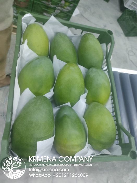 Premium Fruits