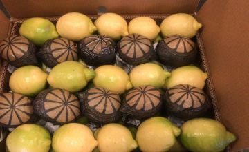 Citrus Exports 2019