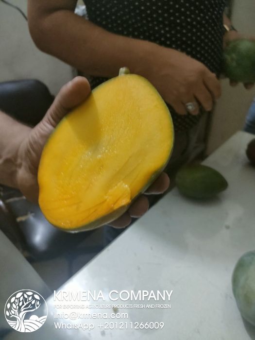 Mango 2024